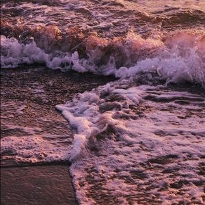 Meet your Posher, Alanys